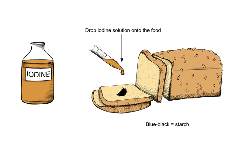 Food such as wheat based products like bread and cerial with iodene added should turn blue/black showing the presence of starch